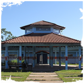 Imagem padrão
