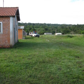 Imagem padrão