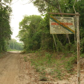 Imagem padrão