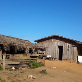 Imagem padrão