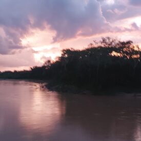 Imagem padrão